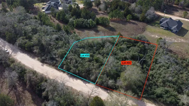 a view of a garden with a pathway