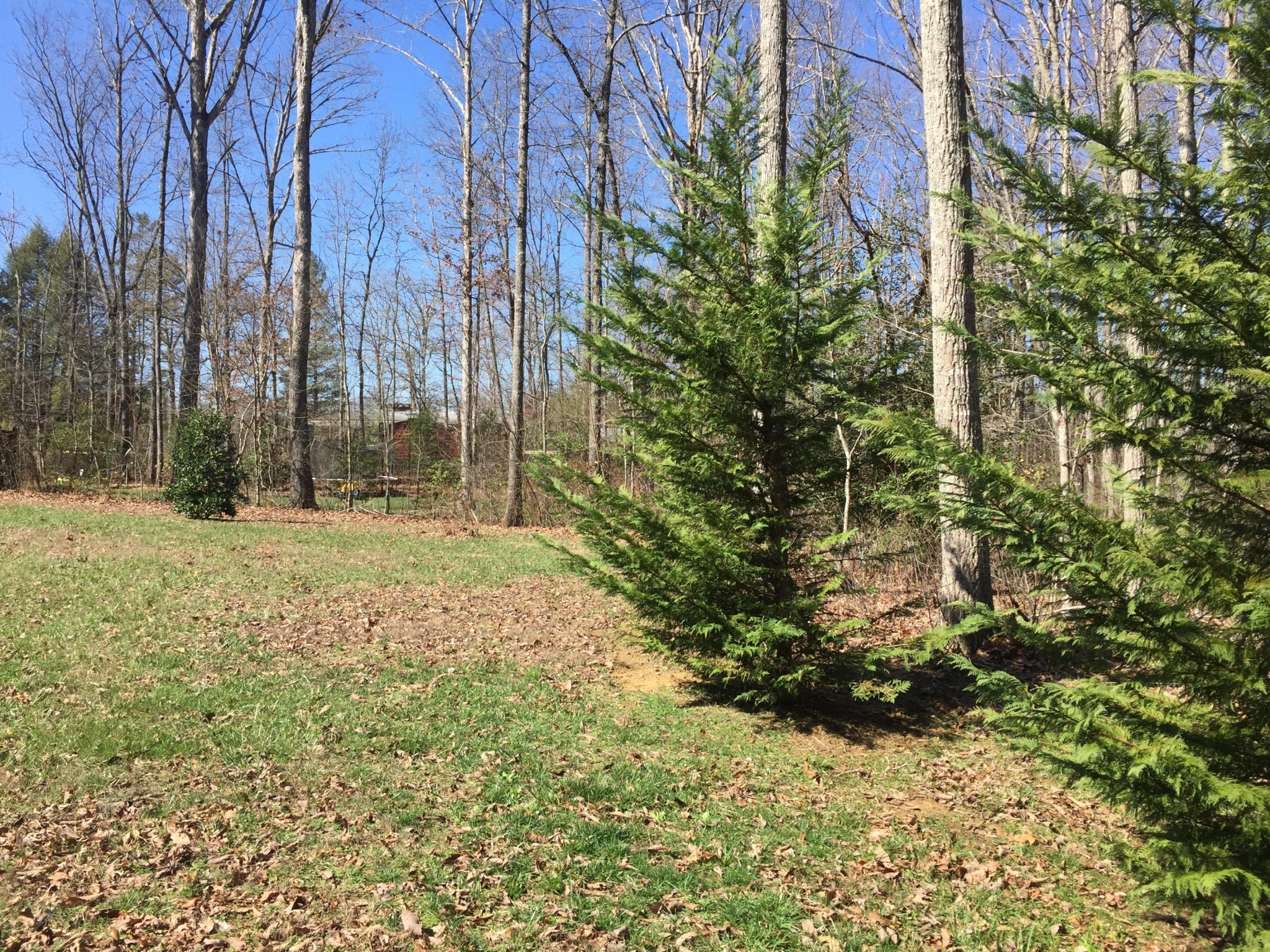 1690 West Creston Road Crossville, TN 38571 - Photo 7 of 26 Gallery Image 7