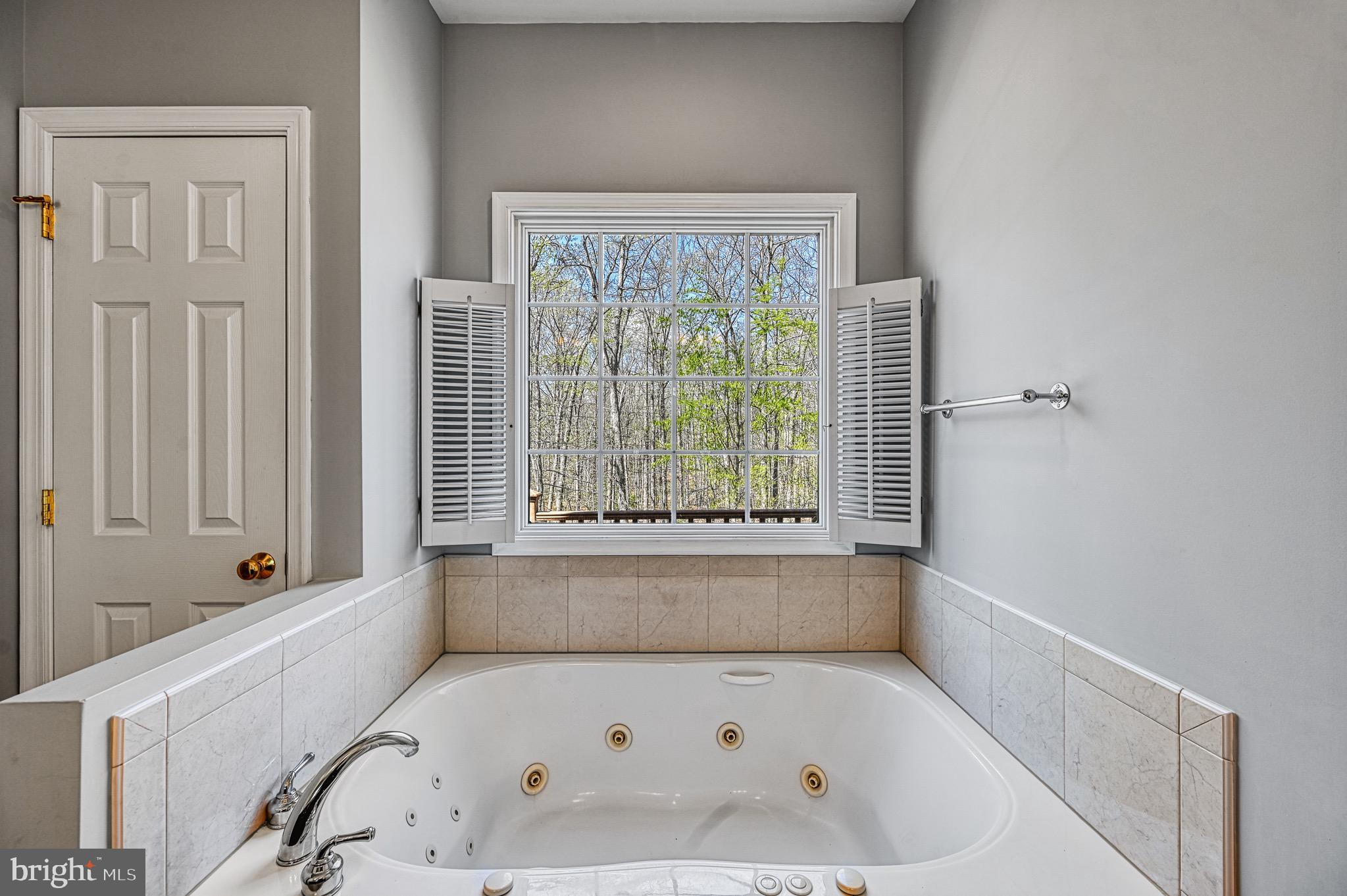 211 Windswept Road Mineral, VA 23117 - Photo 21 of 92 Primary Bath jetted tub