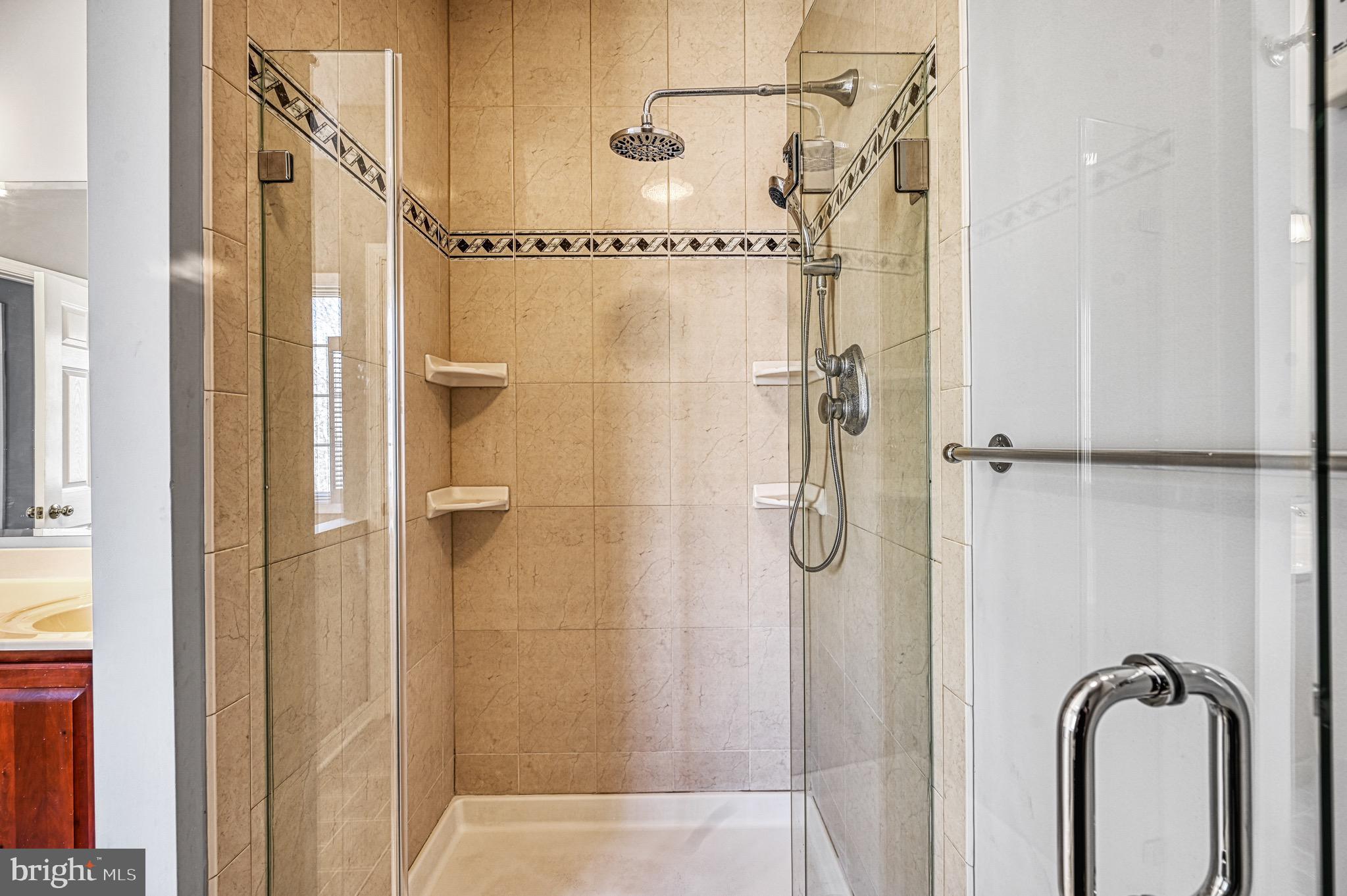 211 Windswept Road Mineral, VA 23117 - Photo 22 of 92 Primary Bath Walk inshower