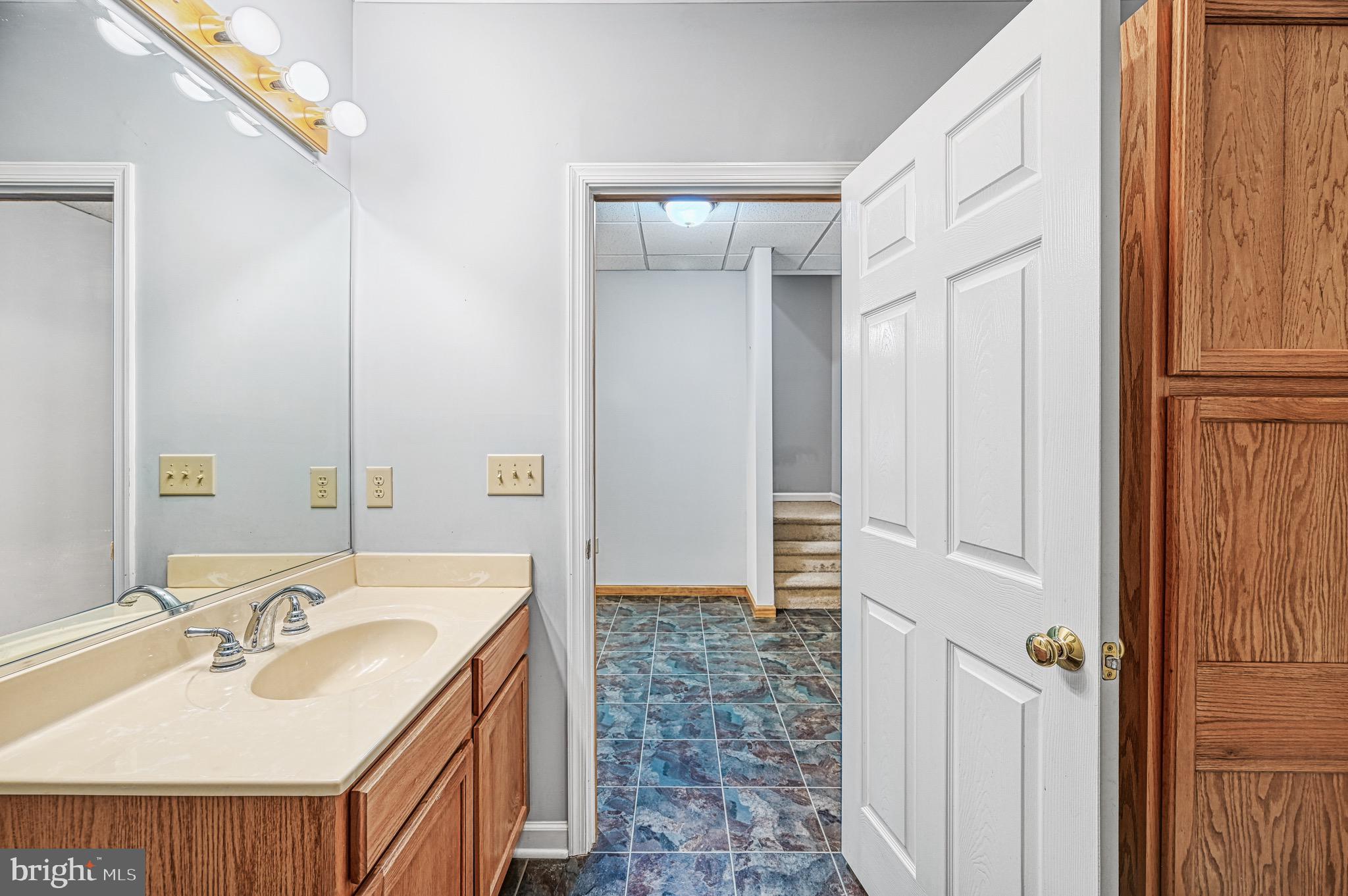 211 Windswept Road Mineral, VA 23117 - Photo 49 of 92 Basement Bath