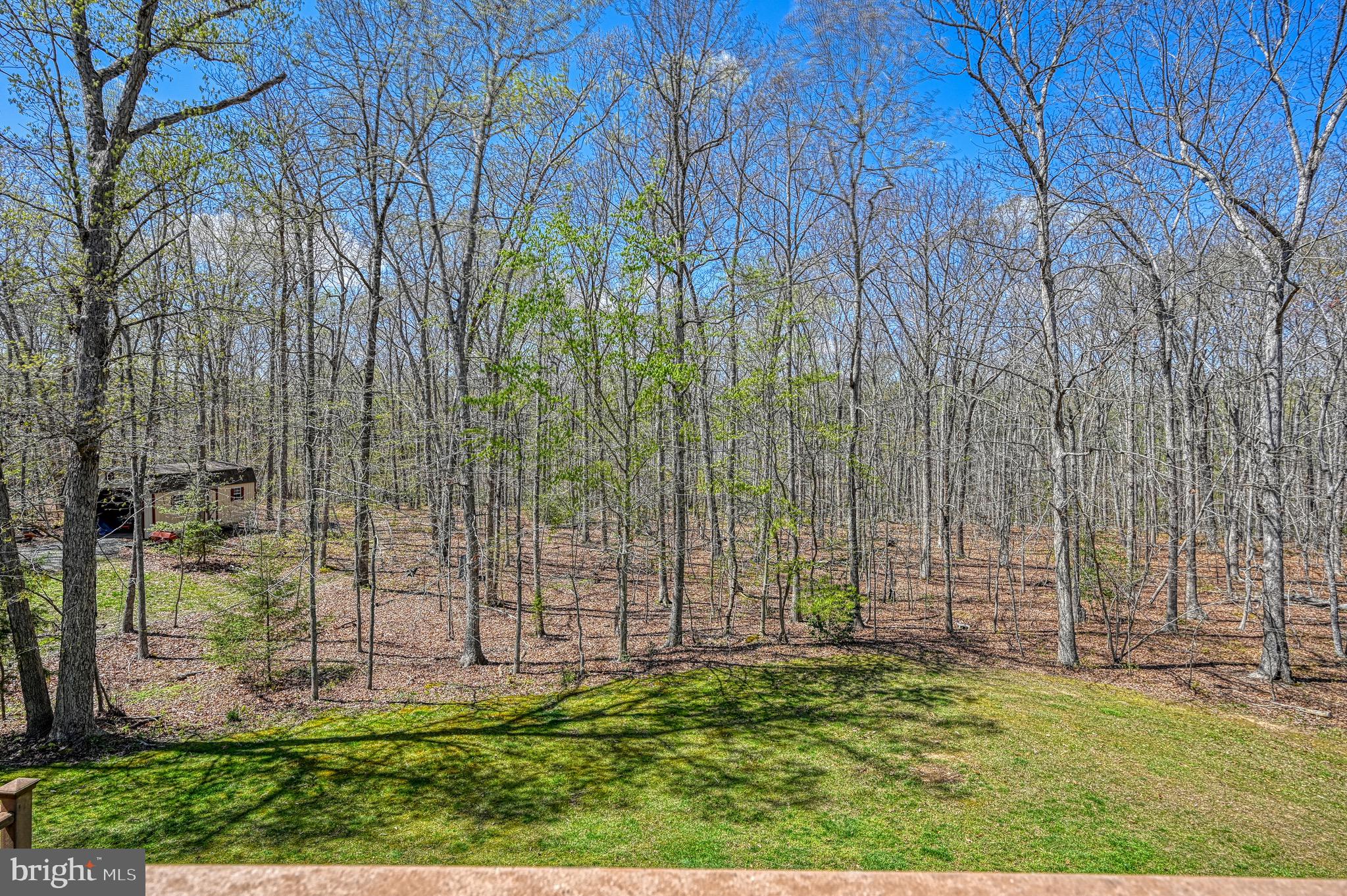 211 Windswept Road Mineral, VA 23117 - Photo 60 of 92 Gallery Image 60