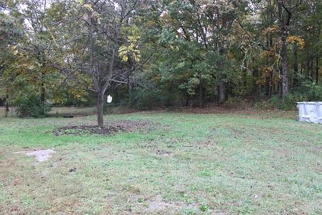 8755 Lyles Road Lyles, TN 37098 - Photo 10 of 11