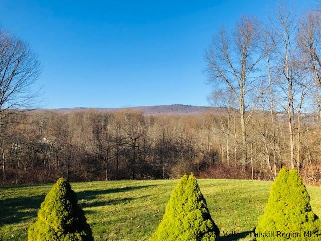 23 Saddleback Ridge Road Wallkill, NY 12589 - Photo 11 of 14 Photo 13