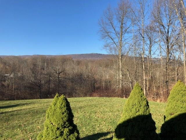 23 Saddleback Ridge Road Wallkill, NY 12589 - Photo 4 of 14 Photo 4