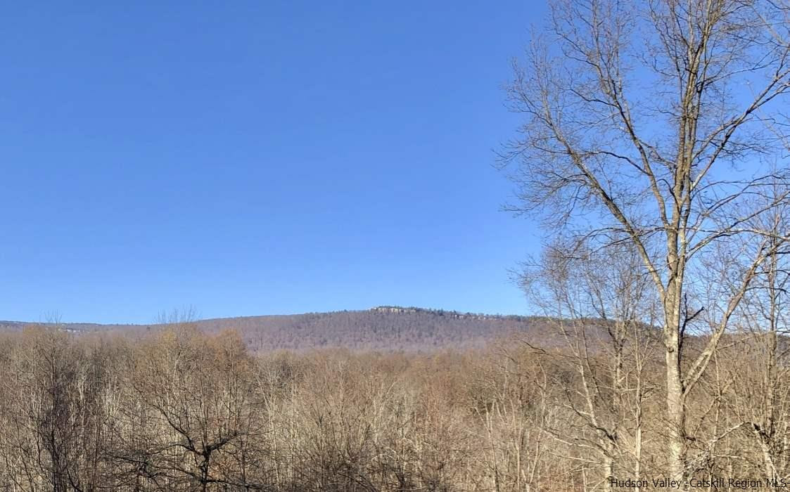 23 Saddleback Ridge Road Wallkill, NY 12589 - Photo 5 of 14 Photo 5
