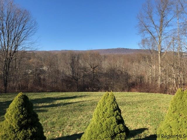 23 Saddleback Ridge Road Wallkill, NY 12589 - Photo 6 of 14 Photo 6