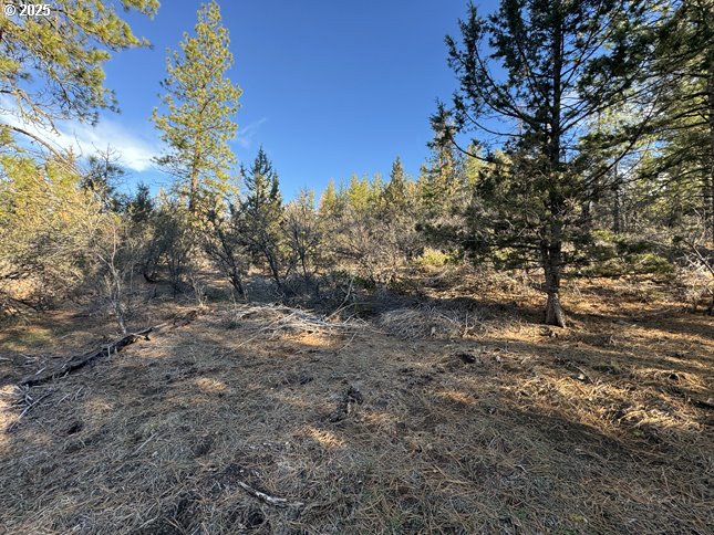 Hummingbird Drive, Unit 13 Bonanza, OR 97623 - Photo 16 of 17