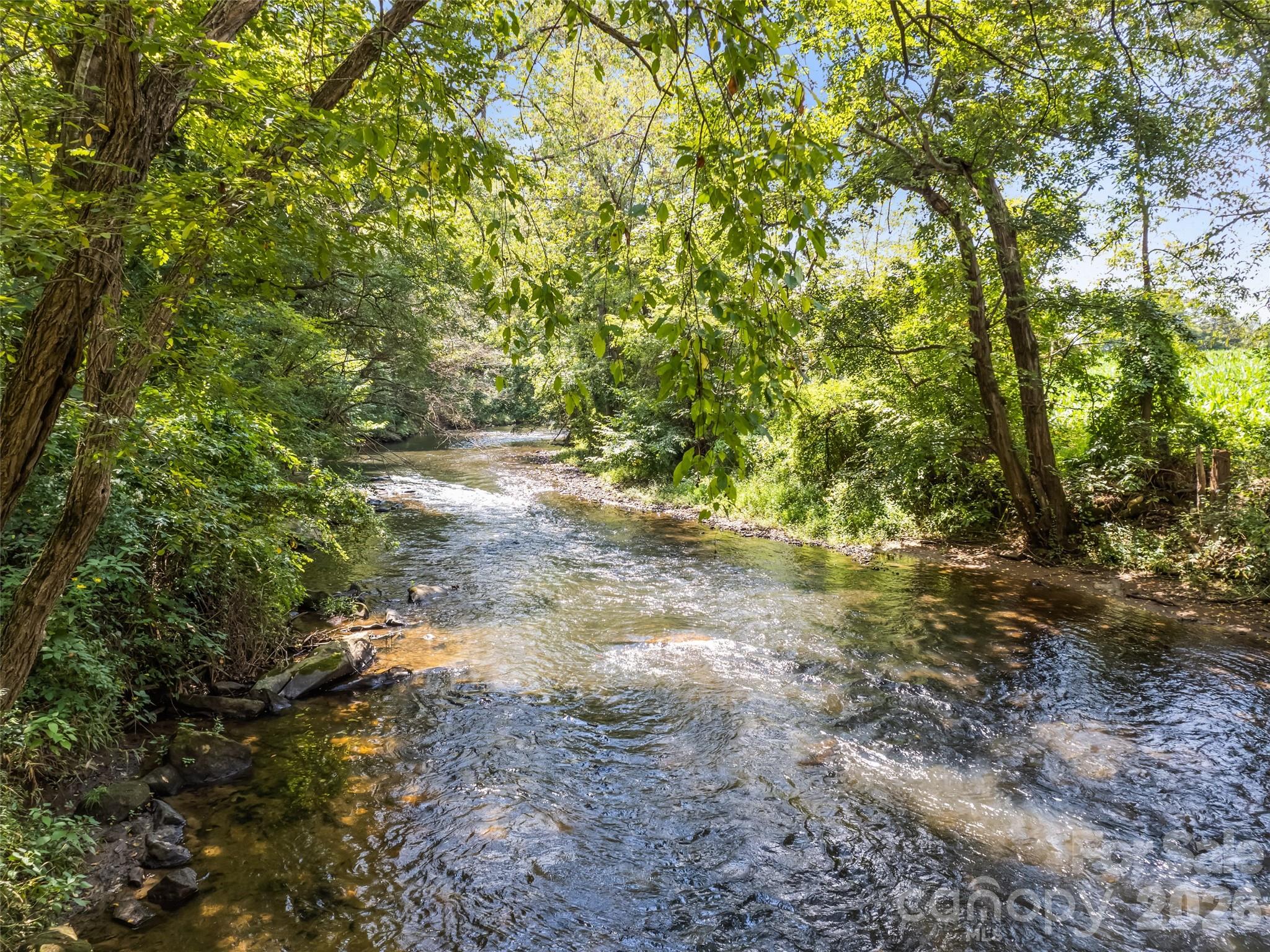 404 Loop Road Clyde, NC 28721 - Photo 2 of 48 Gallery Image 2