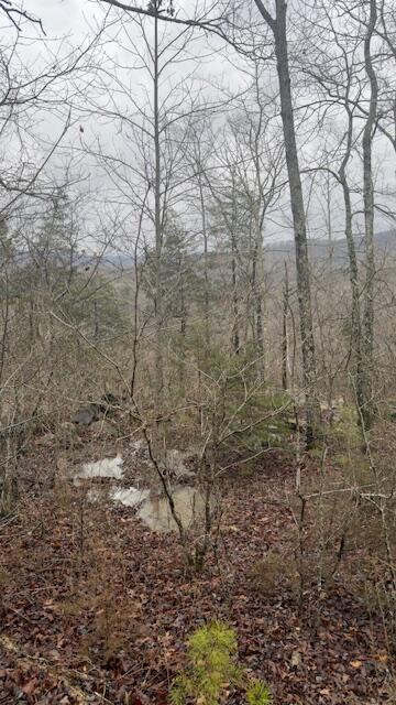 8.7 Wolf Gap Road, Unit 8 7 Bronston, KY 42518 - Photo 2 of 7 IMG_5214
