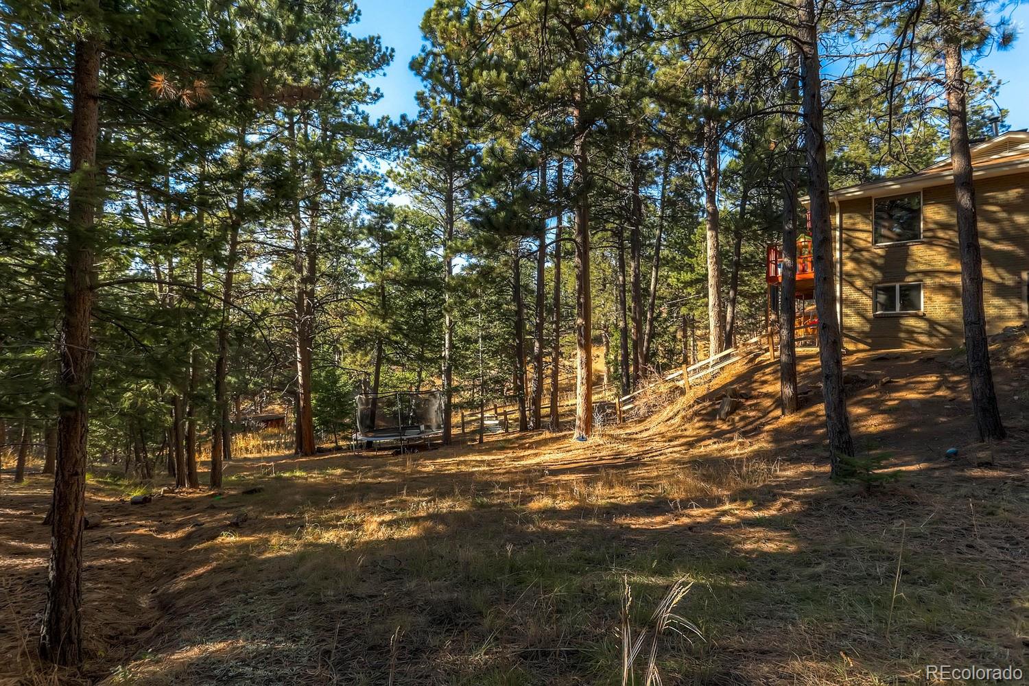 781 Ballantine Road Golden, CO 80401 - Photo 20 of 25 Gallery Image 20