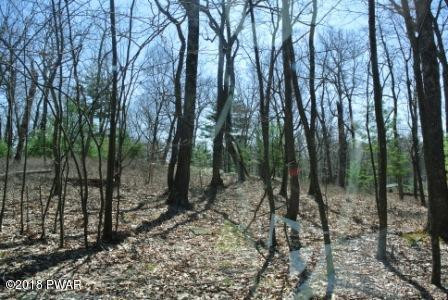 Pitch Pine Road Dingmans Ferry, PA 18328 - Photo 1 of 4