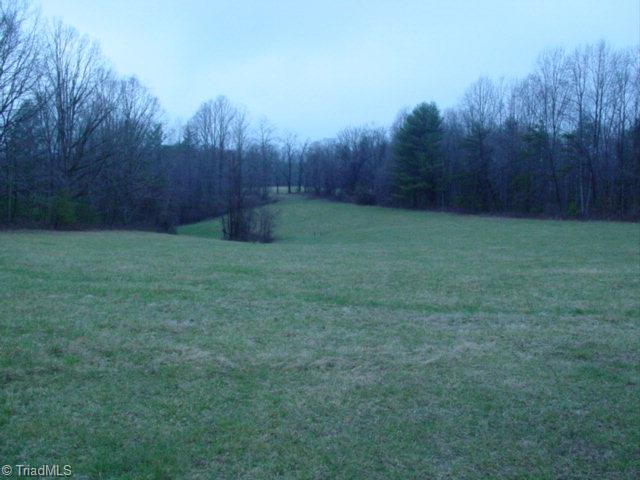 1725 Traphill Union Road Traphill, NC 28685 - Photo 11 of 16 Additional View