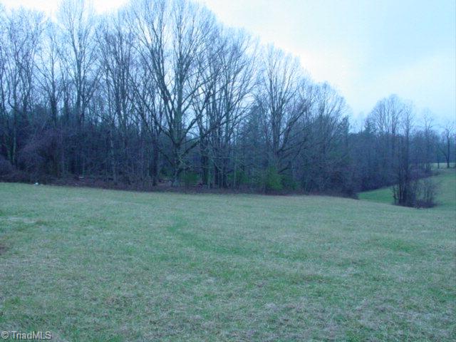 1725 Traphill Union Road Traphill, NC 28685 - Photo 12 of 16 Additional View 1