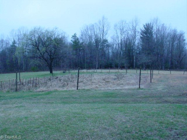 1725 Traphill Union Road Traphill, NC 28685 - Photo 10 of 16 Garden Spot