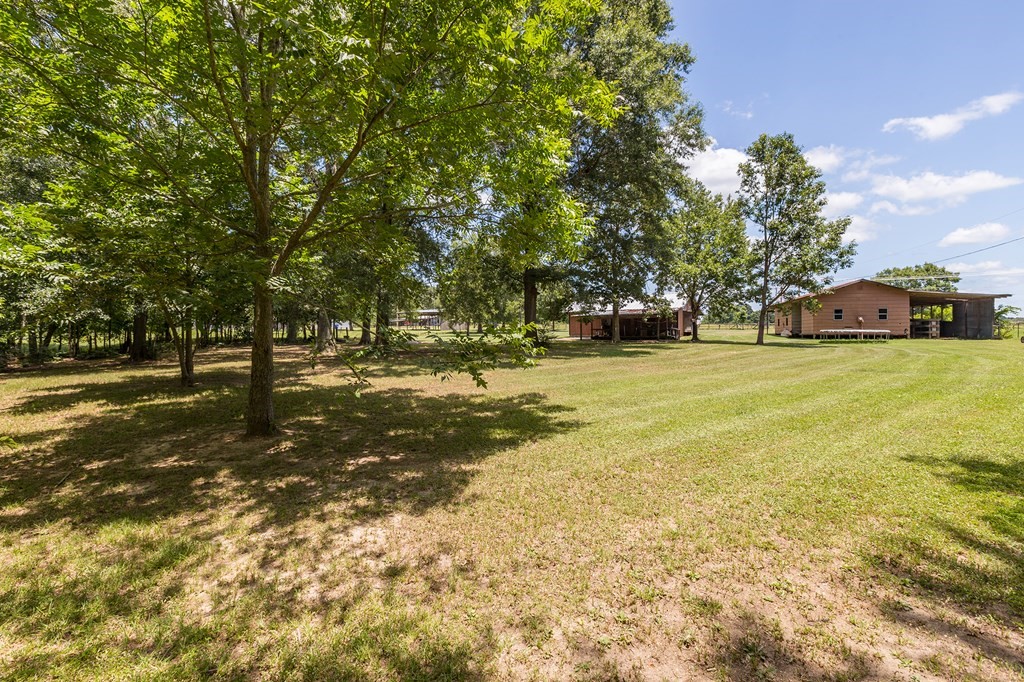 957 Dewitt Hinson Road Pollok, TX 75969 - Photo 21 of 28