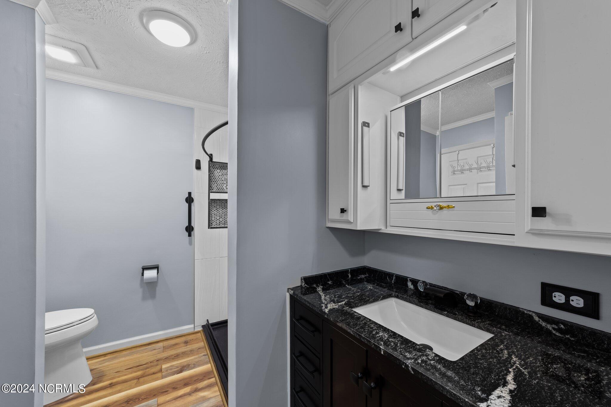 1172 Willeyton Road Gates, NC 27937 - Photo 22 of 50 hall bathroom