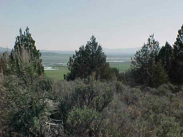 0 Whiskey Beatty, OR 97621 - Photo 1 of 2 Primary Photo