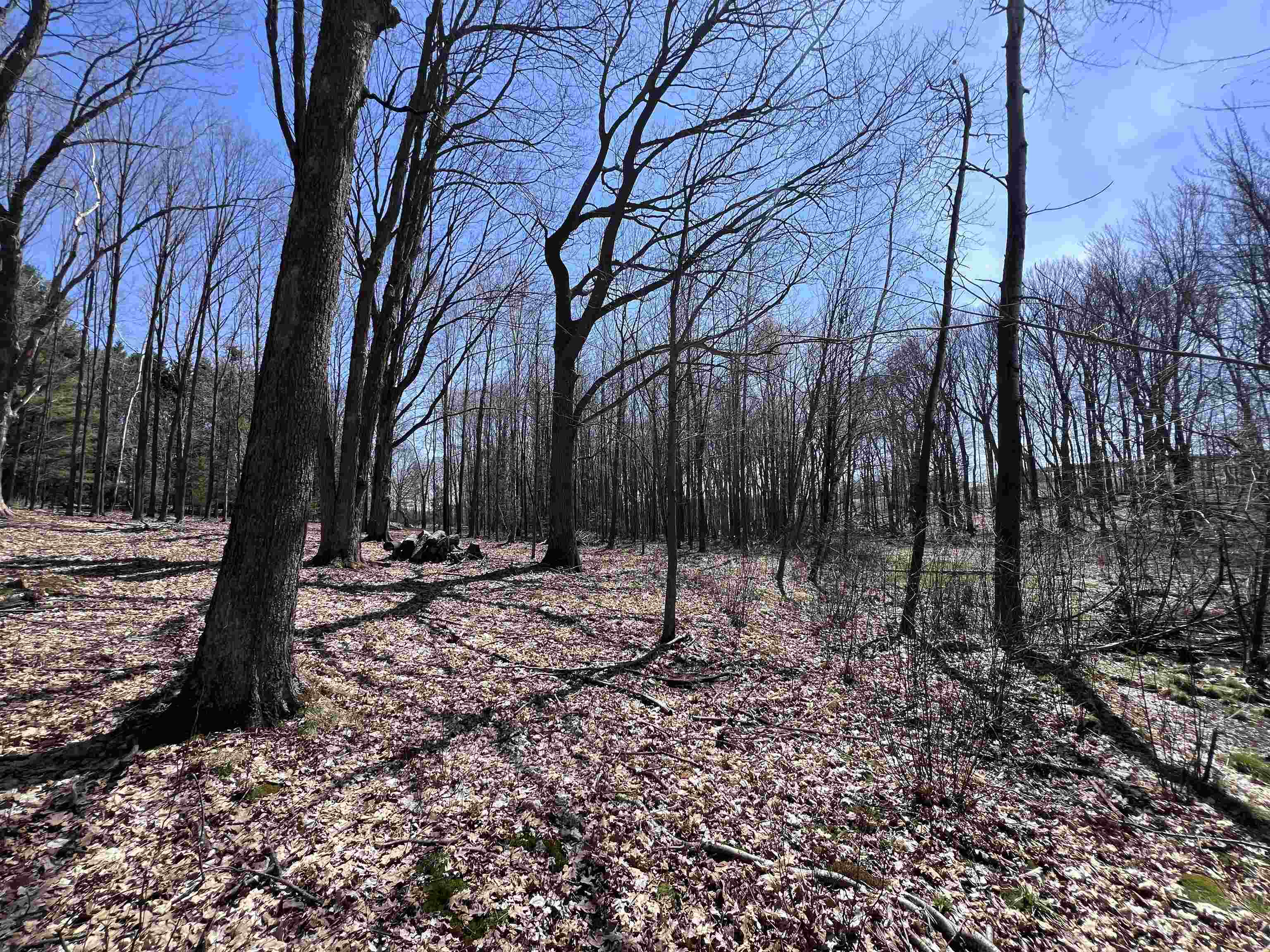 Canyon Road Wausau, WI 54403 - Photo 5 of 26