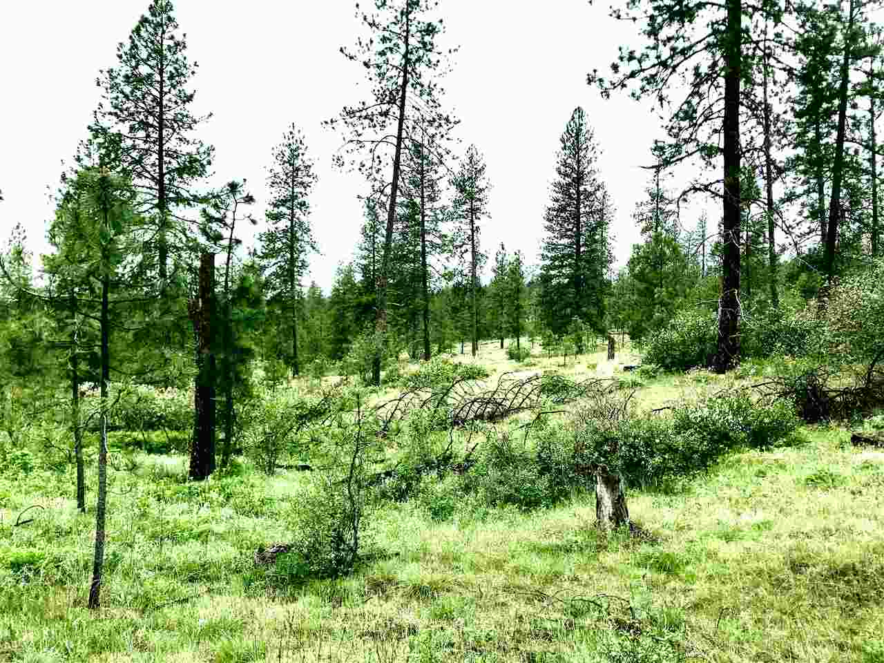 Nine South Swenson Road Nine Mile Falls, WA 99026 - Photo 1 of 15 Gallery Image 1