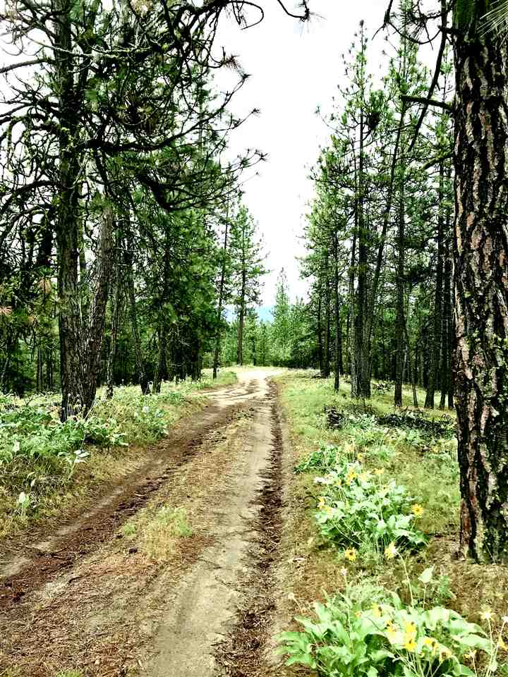 Nine South Swenson Road Nine Mile Falls, WA 99026 - Photo 2 of 15 Gallery Image 2