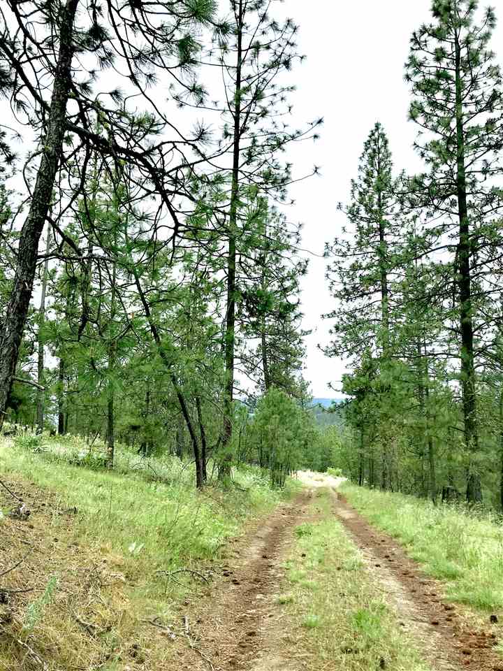 Nine South Swenson Road Nine Mile Falls, WA 99026 - Photo 12 of 15 Gallery Image 12