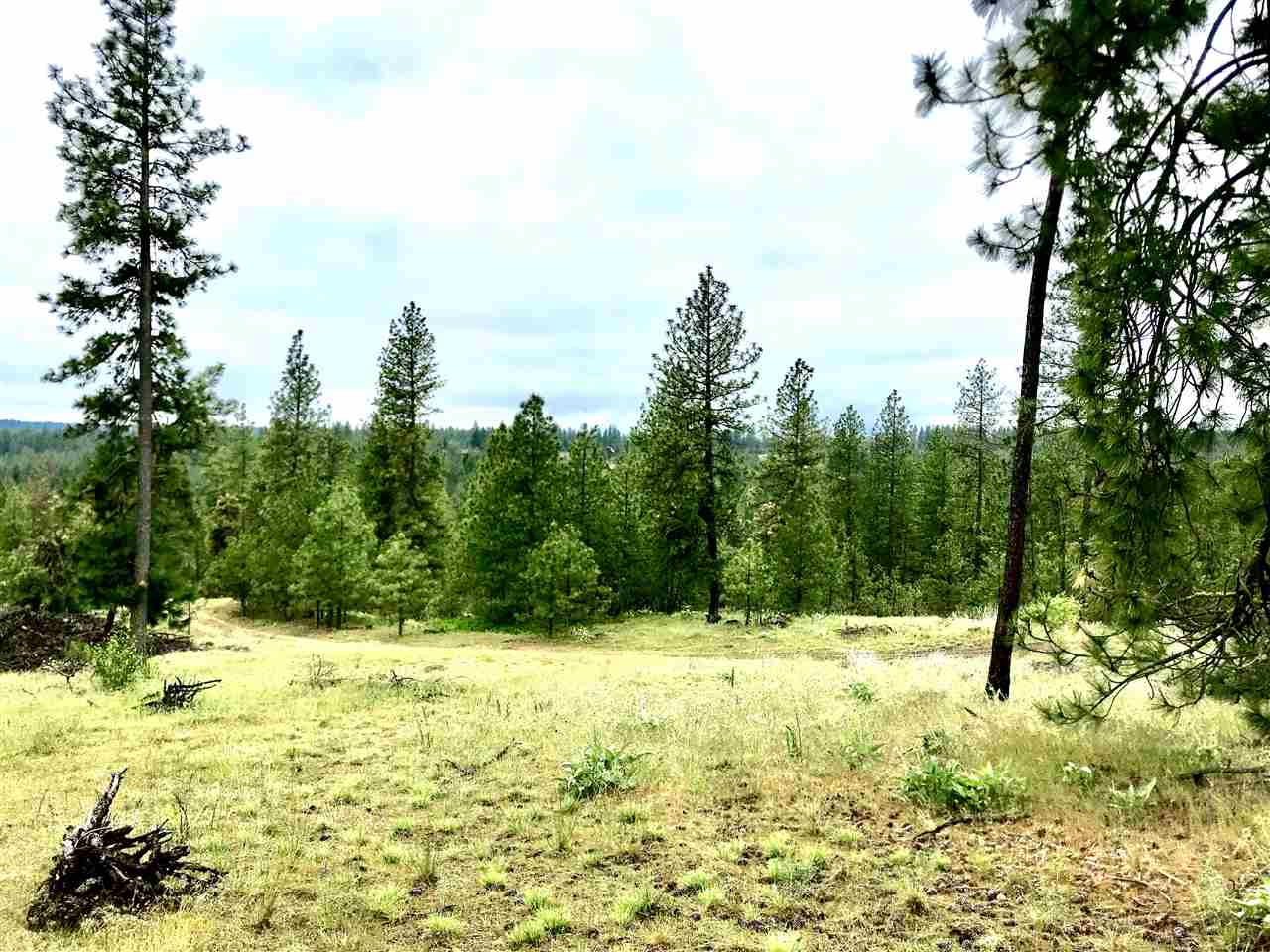 Nine South Swenson Road Nine Mile Falls, WA 99026 - Photo 14 of 15 Gallery Image 14
