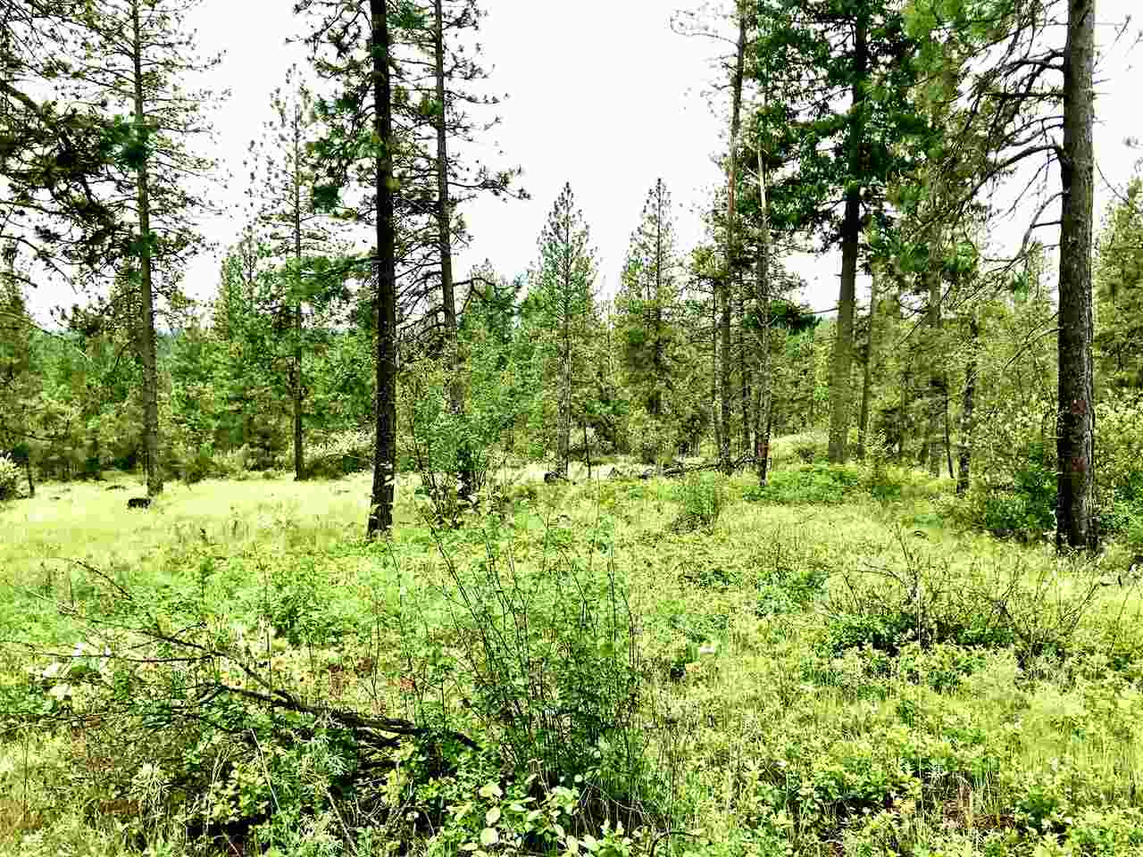 Nine South Swenson Road Nine Mile Falls, WA 99026 - Photo 3 of 15 Gallery Image 3