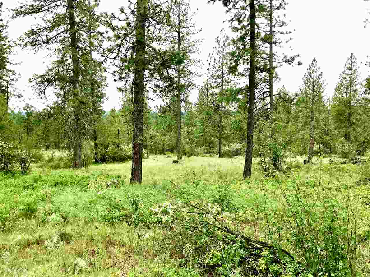 Nine South Swenson Road Nine Mile Falls, WA 99026 - Photo 4 of 15 Gallery Image 4
