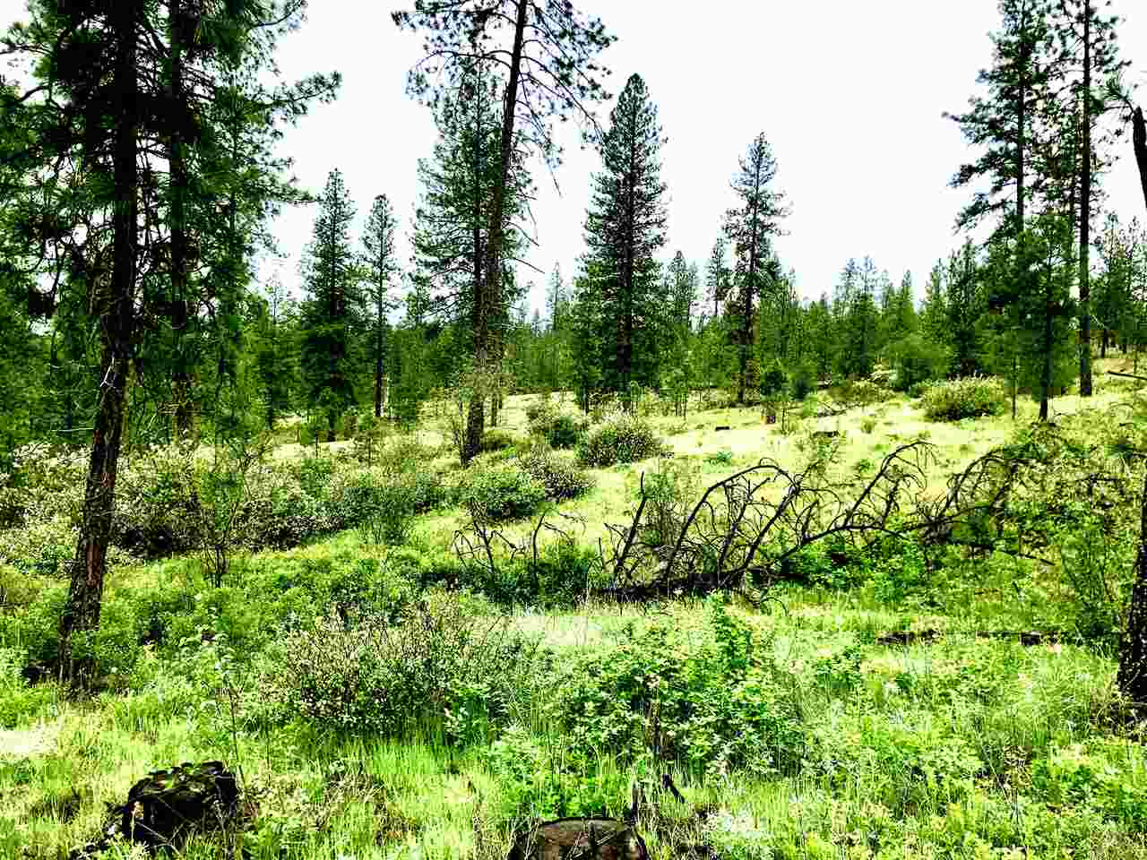 Nine South Swenson Road Nine Mile Falls, WA 99026 - Photo 5 of 15 Gallery Image 5
