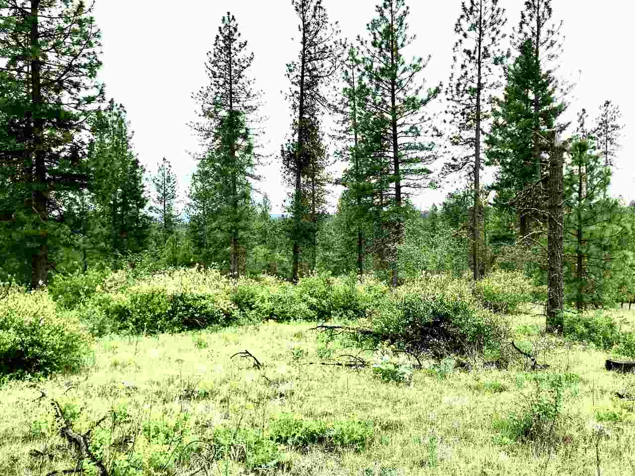 Nine South Swenson Road Nine Mile Falls, WA 99026 - Photo 6 of 15 Gallery Image 6