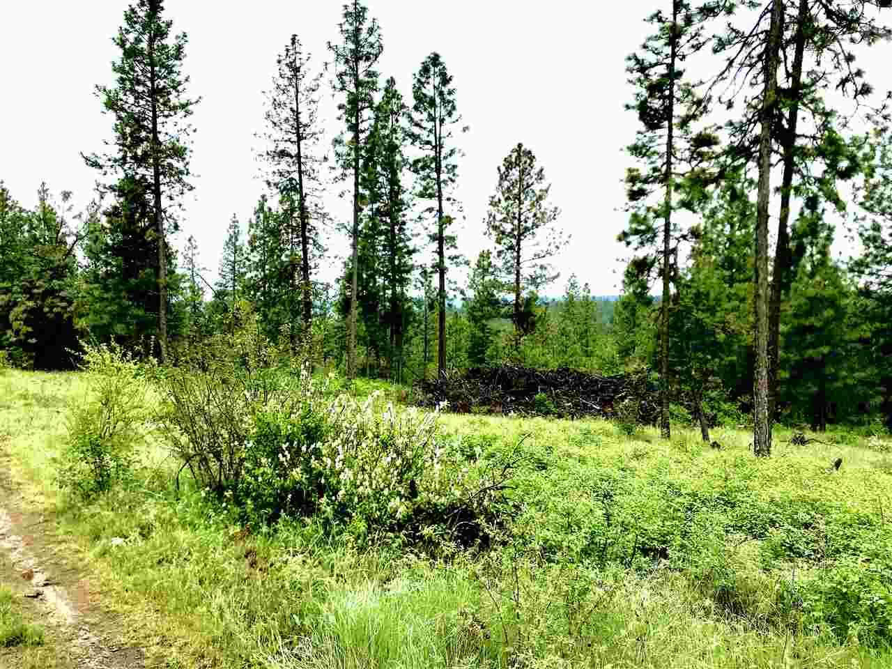 Nine South Swenson Road Nine Mile Falls, WA 99026 - Photo 8 of 15 Gallery Image 8