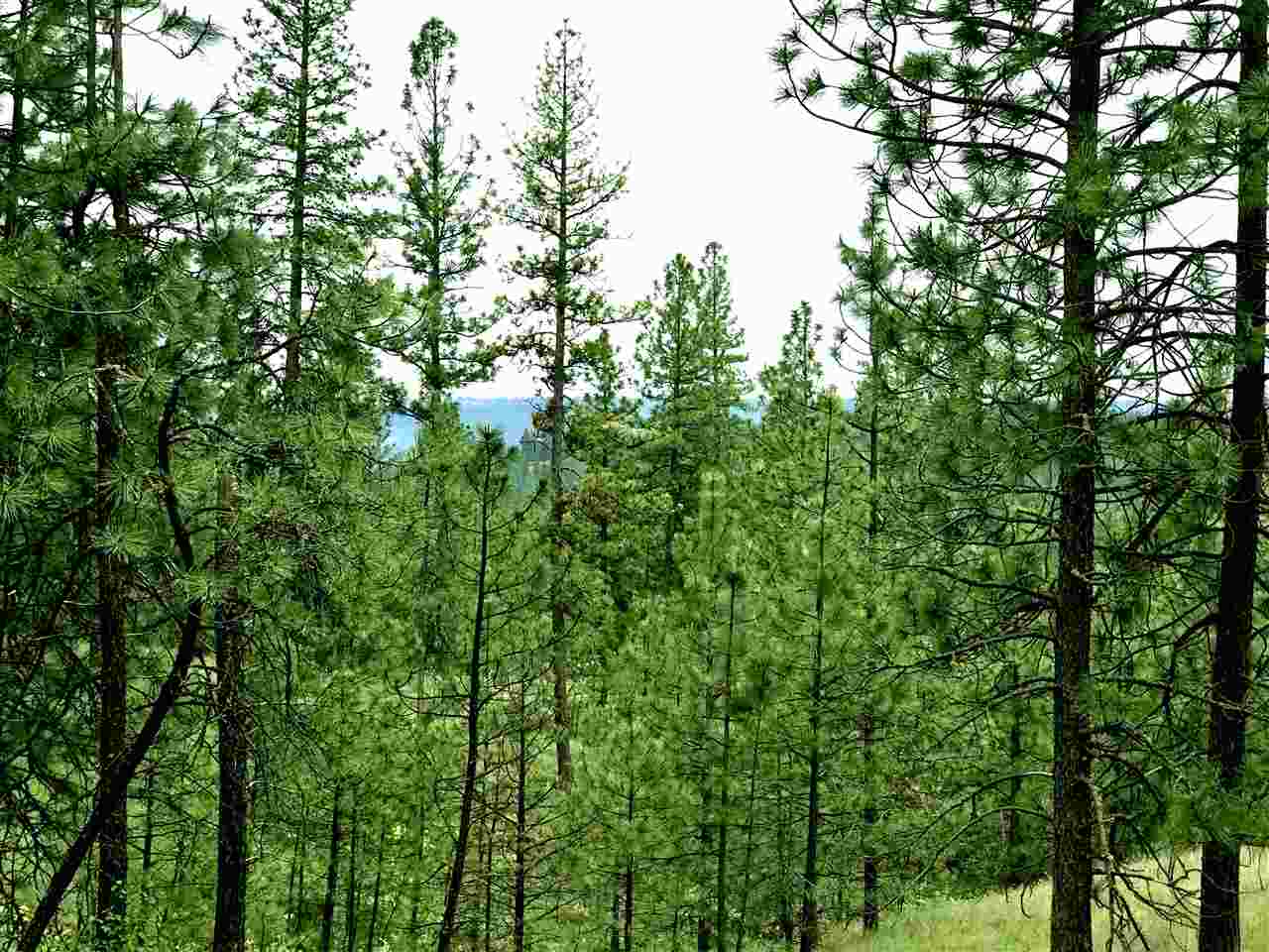 Nine South Swenson Road Nine Mile Falls, WA 99026 - Photo 9 of 15 Gallery Image 9