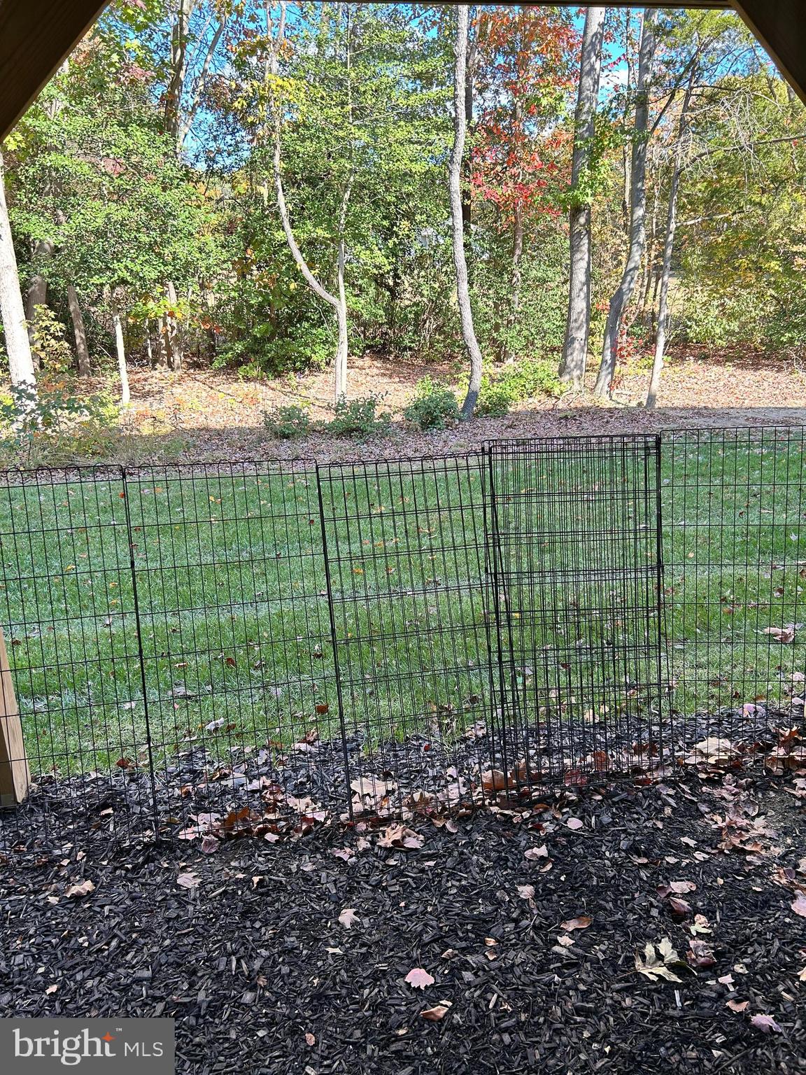 161 Riley Street Williamstown, NJ 08094 - Photo 12 of 13 a view of a bird bath