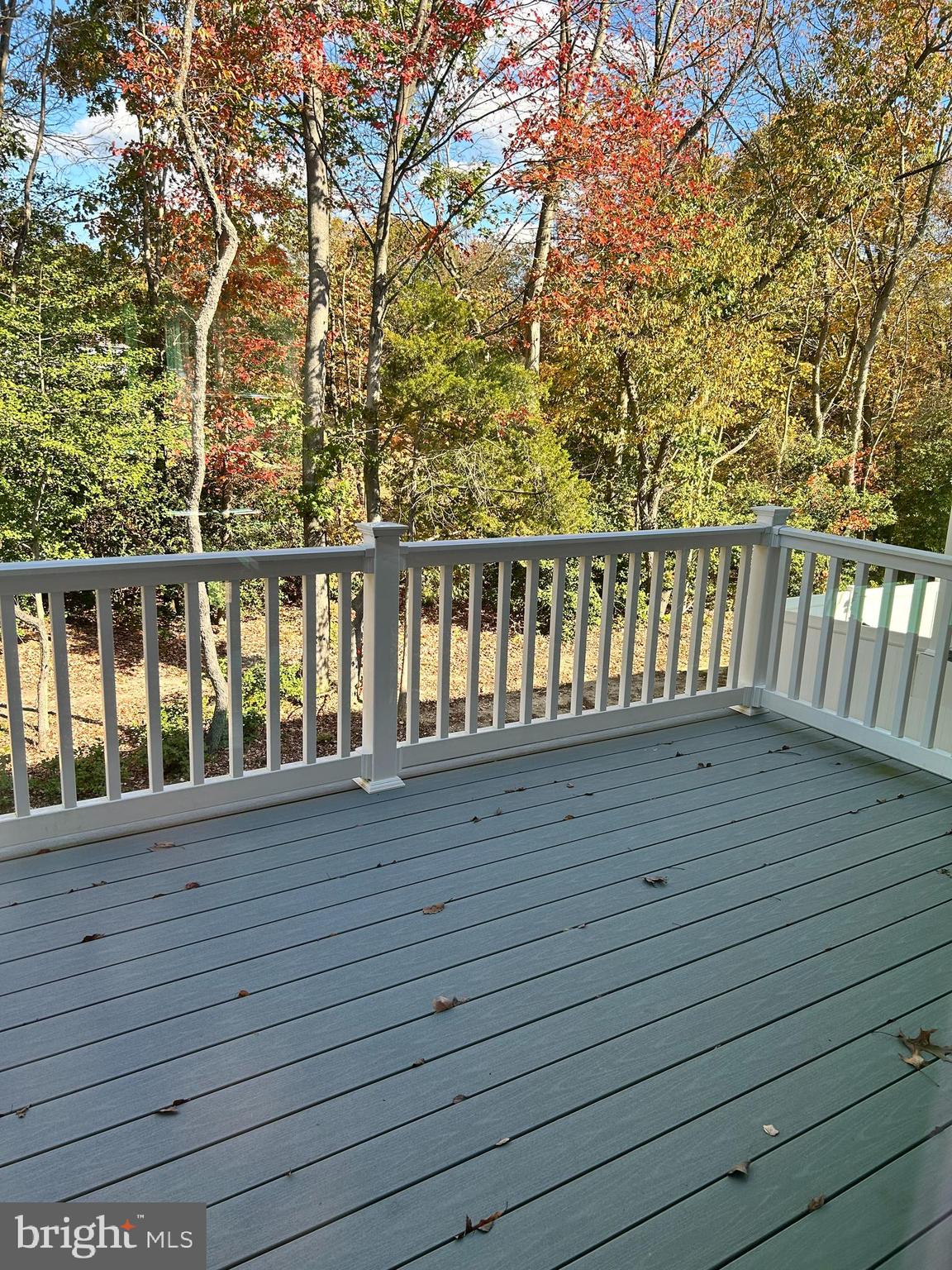 161 Riley Street Williamstown, NJ 08094 - Photo 6 of 13 a view of balcony with wooden floor and fence