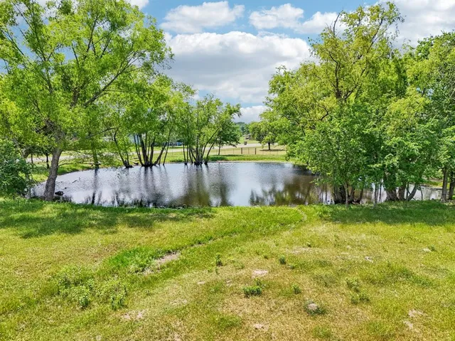 a view of a back yard