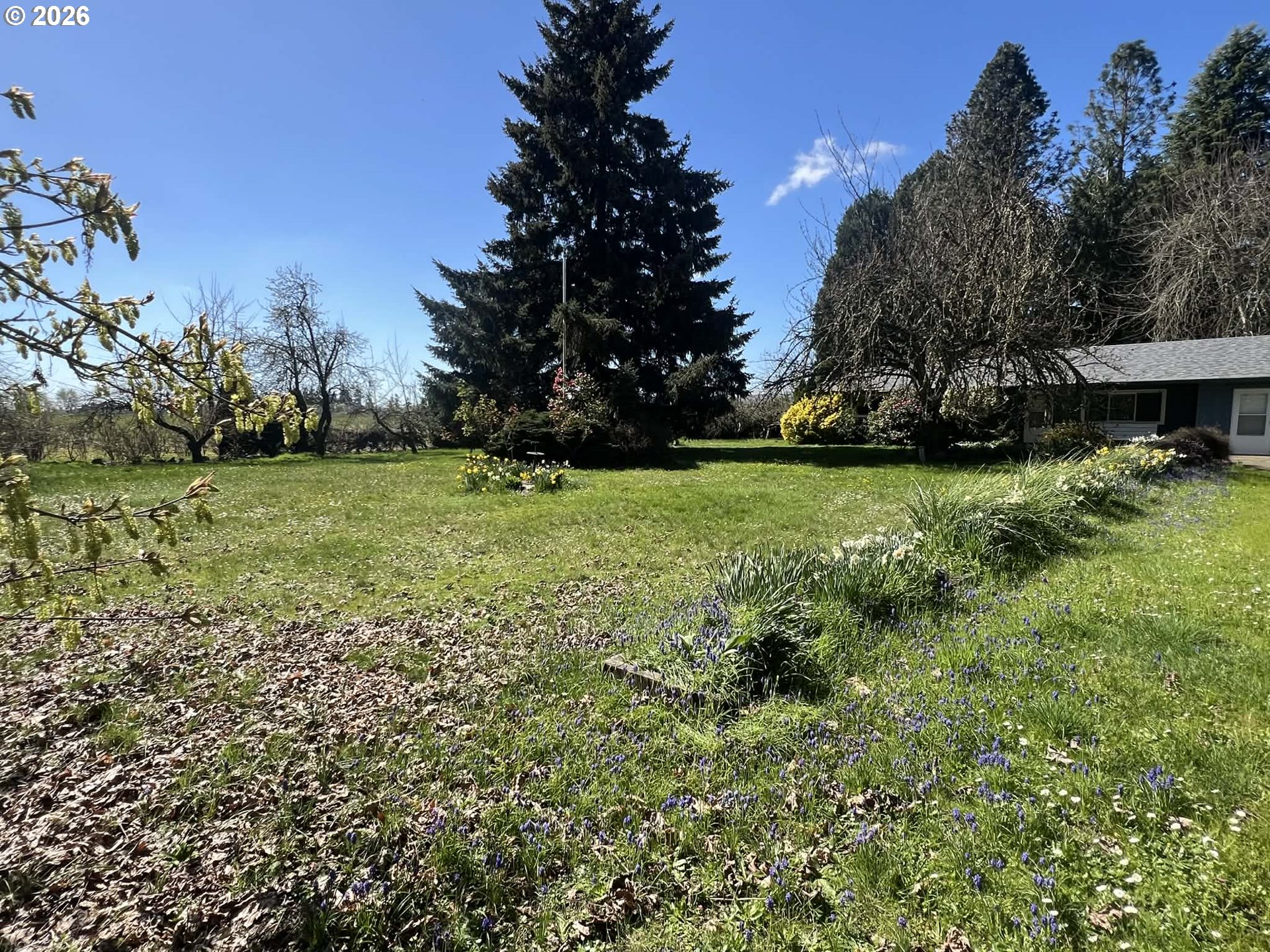 17620 Southeast Grand Island Road Dayton, OR 97114 - Photo 2 of 2
