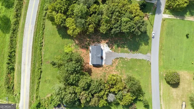 a view of a garden with plants