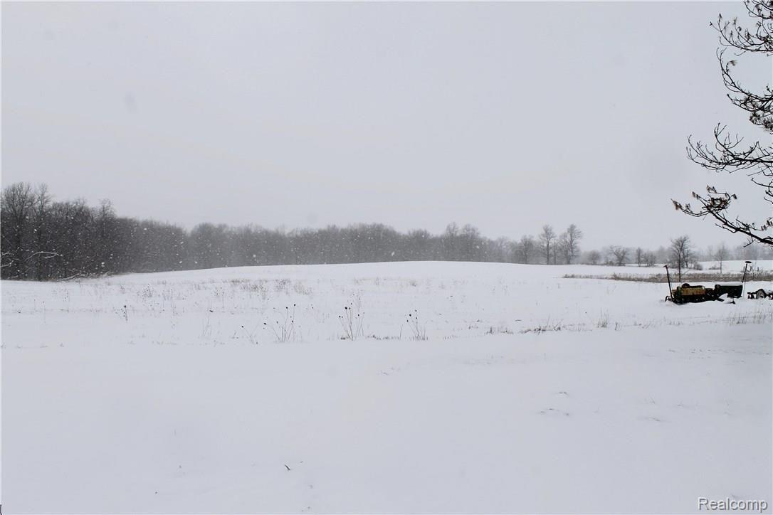 10100 Ridge Road Goodrich, MI 48438 - Photo 7 of 21 fullsizeoutput_e.jpeg