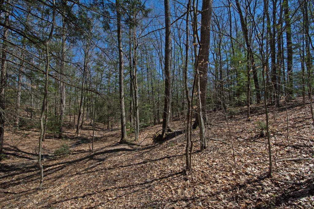 1543 Henson Road Crawley, WV 24931 - Photo 15 of 47 Gallery Image 15