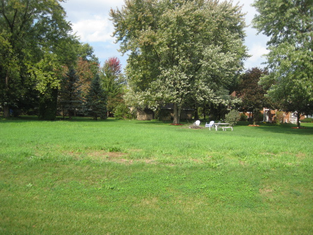 a view of field with trees in the background