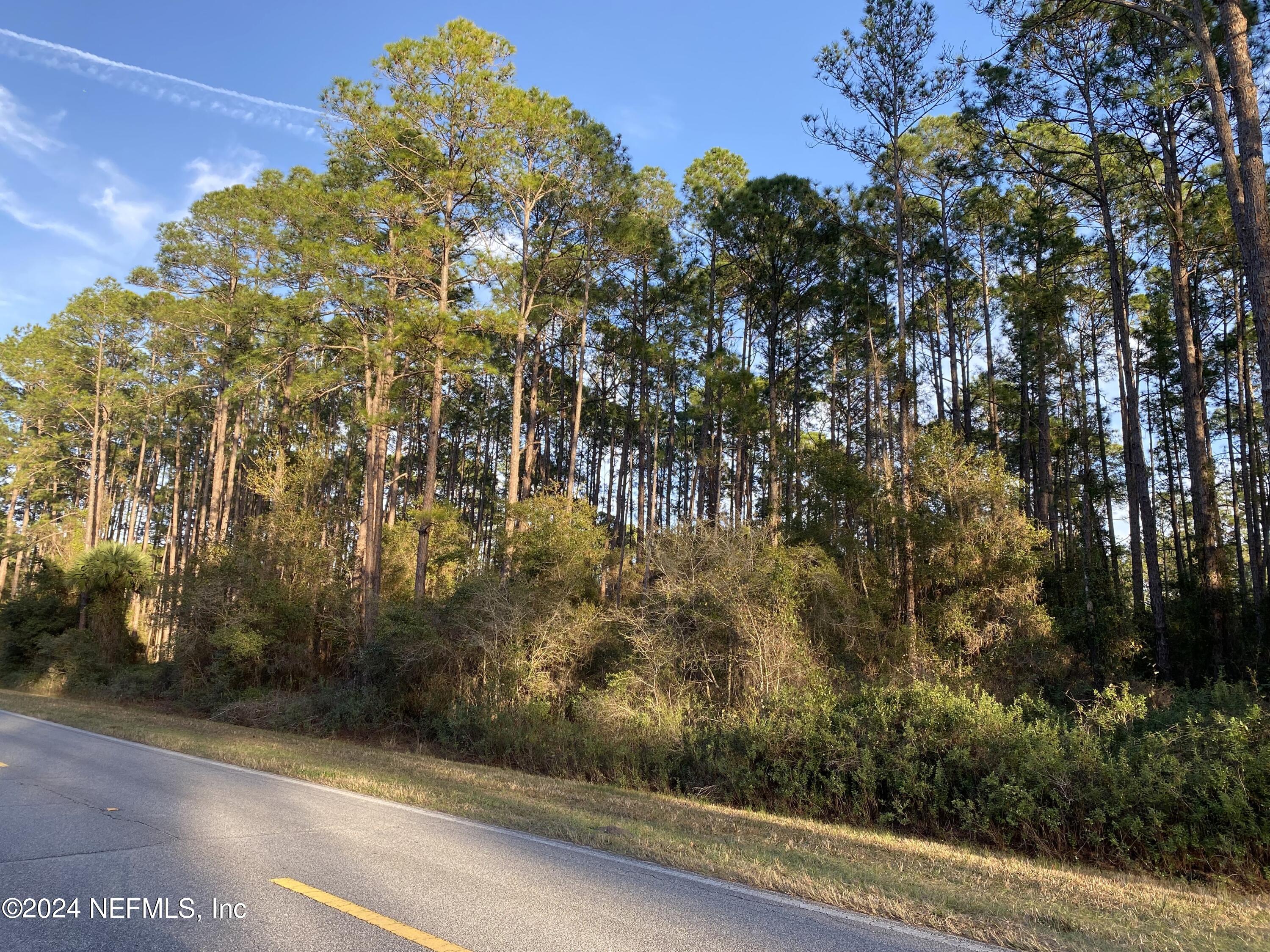 169 Georgetown Denver Road Georgetown, FL 32139 - Photo 2 of 8 IMG_6338