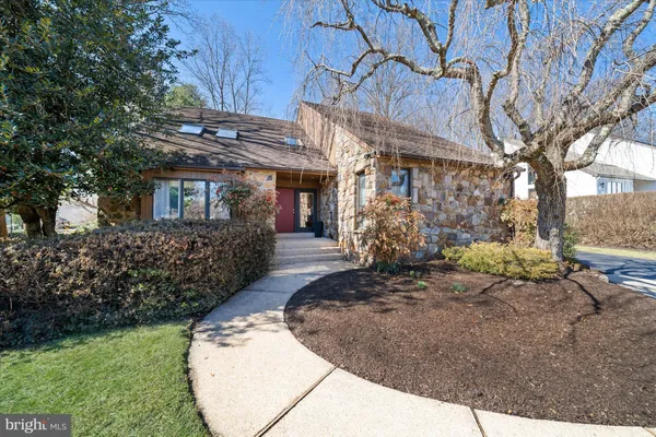 a view of a backyard with a large tree