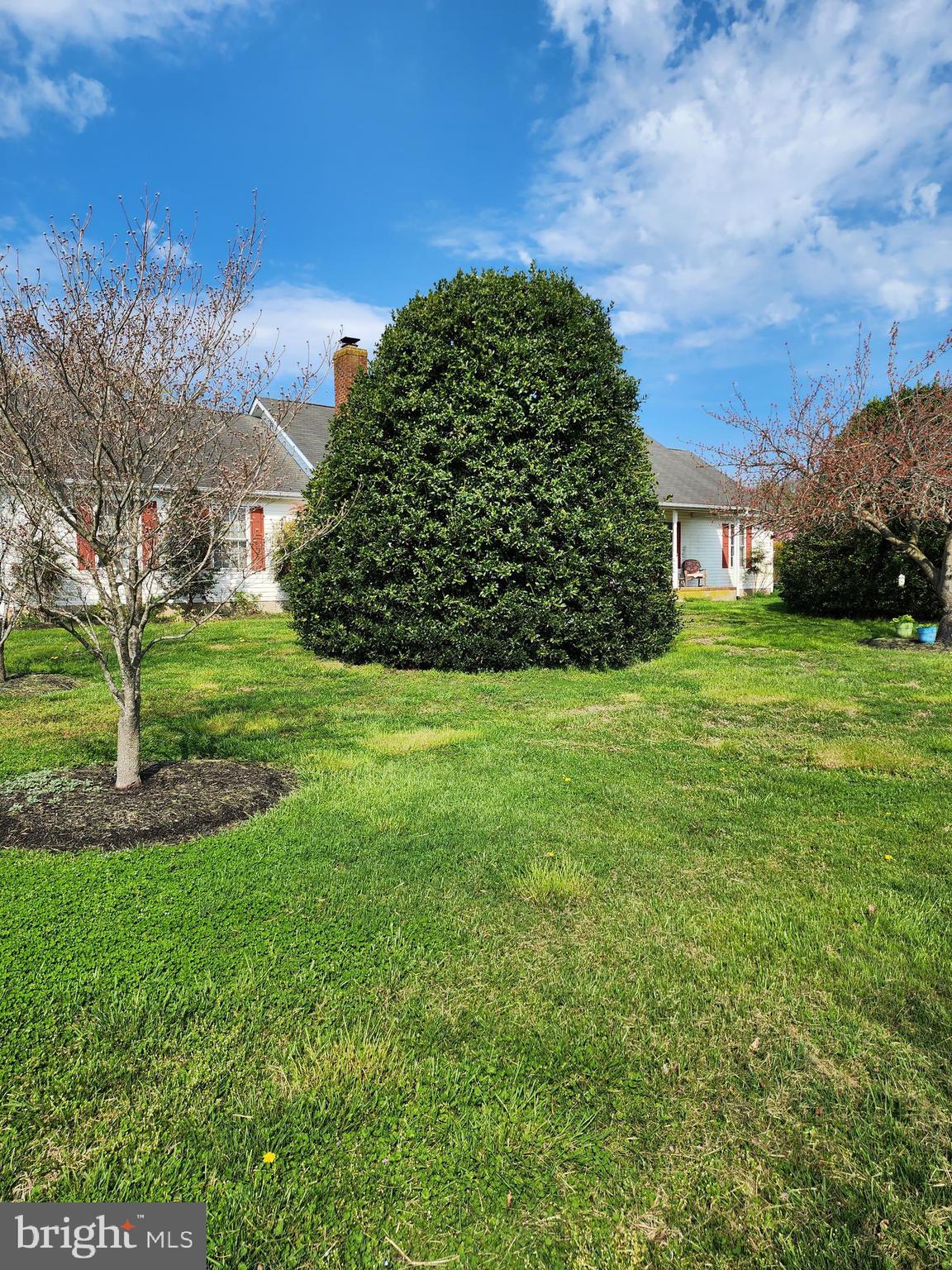 567 Amsterdam Road Felton, DE 19943 - Photo 3 of 46 Gallery Image 3