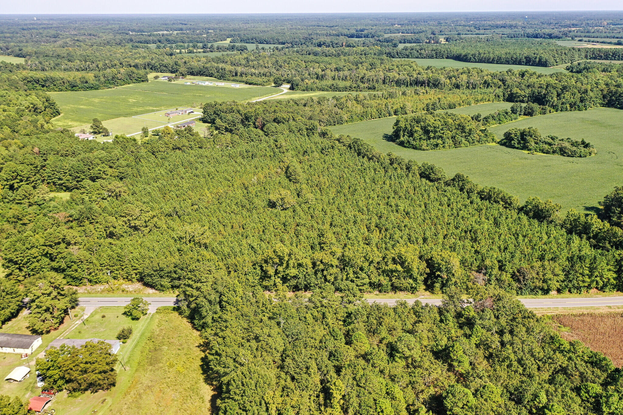 0 George Harvin Road Manning, SC 29102 - Photo 3 of 6 3) 24411-63349bb191b58
