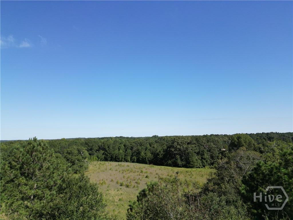 1170 Ash Road Bishop, GA 30621 - Photo 38 of 43