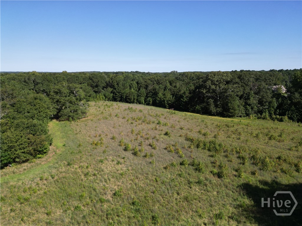1170 Ash Road Bishop, GA 30621 - Photo 39 of 43