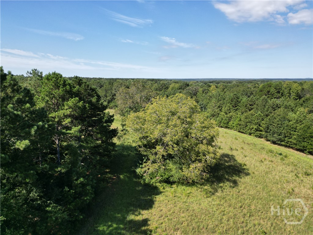 1170 Ash Road Bishop, GA 30621 - Photo 40 of 43