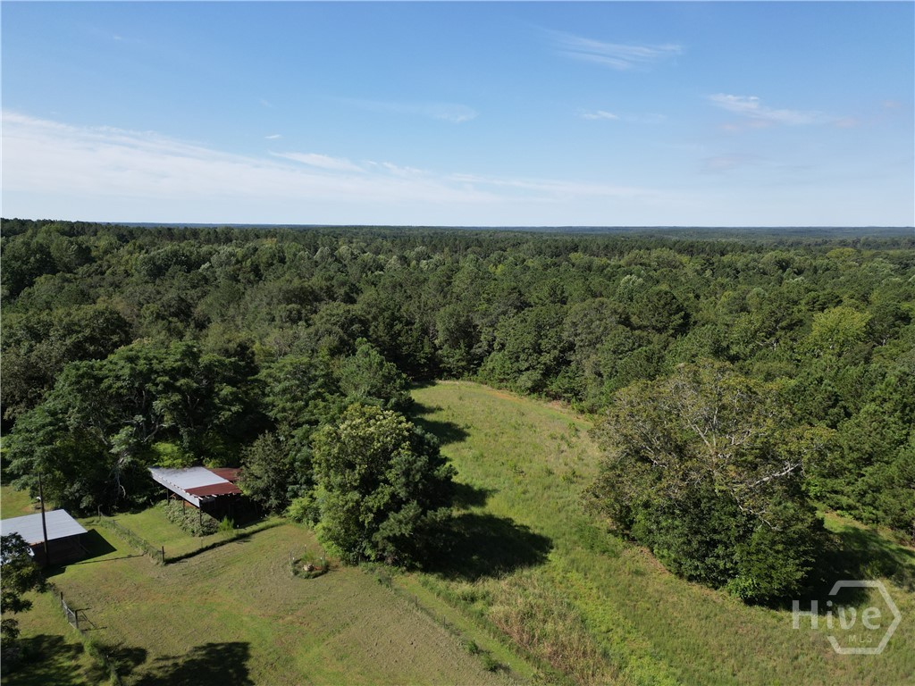 1170 Ash Road Bishop, GA 30621 - Photo 41 of 43