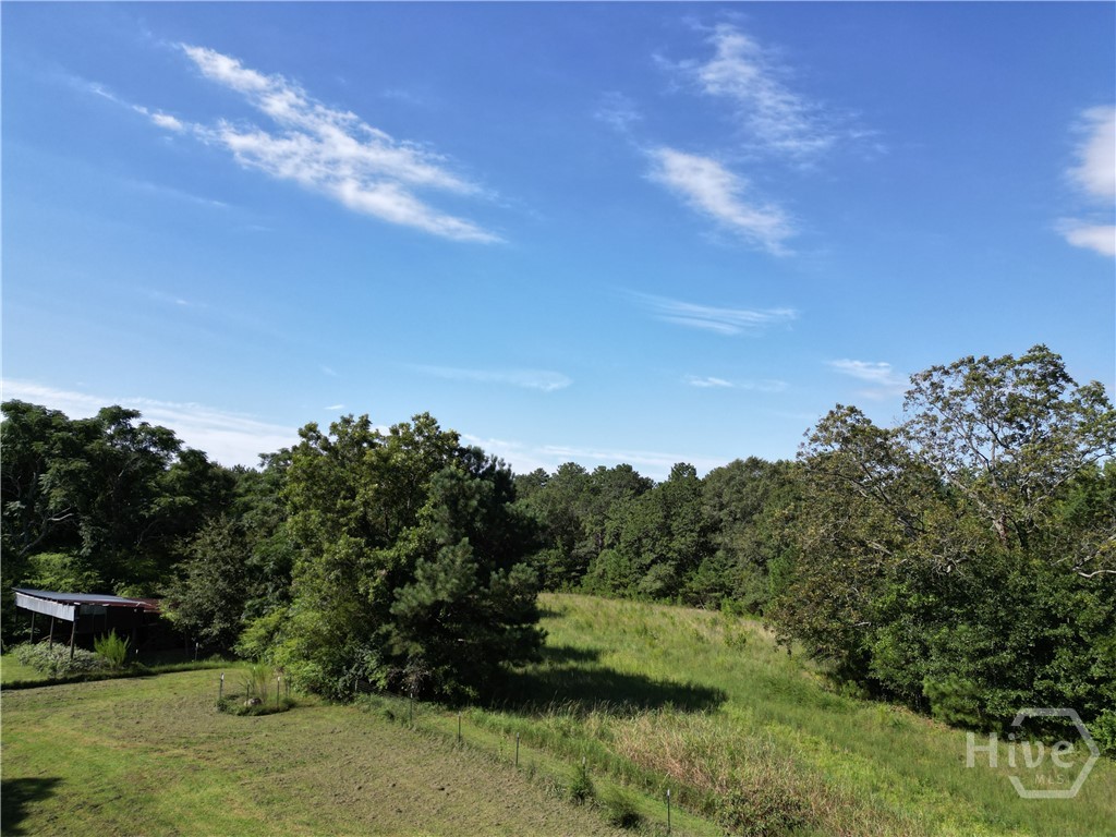 1170 Ash Road Bishop, GA 30621 - Photo 42 of 43